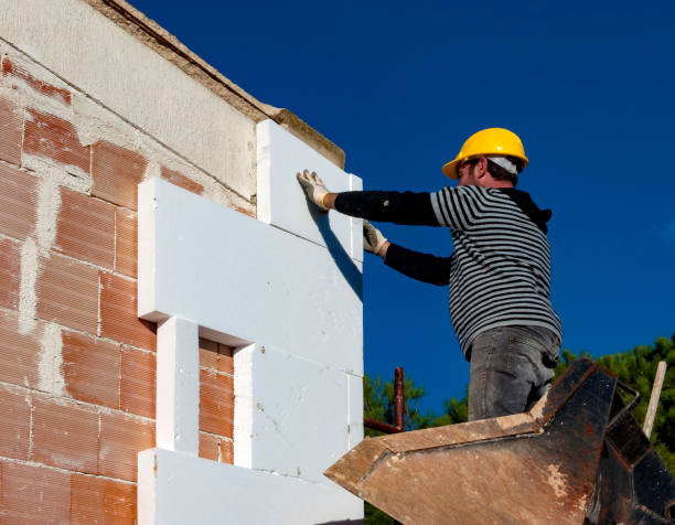 Best Insulation Inspection Services  in Auburn, AL