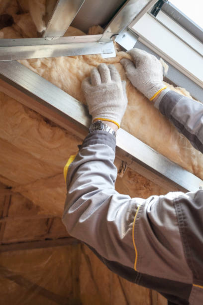 Best Insulation Contractor Near Me  in Auburn, AL