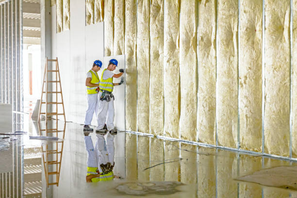 Garage Insulation Installation in Auburn, AL